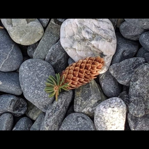 Meet your Posher, Jess - Picture 1 of 1